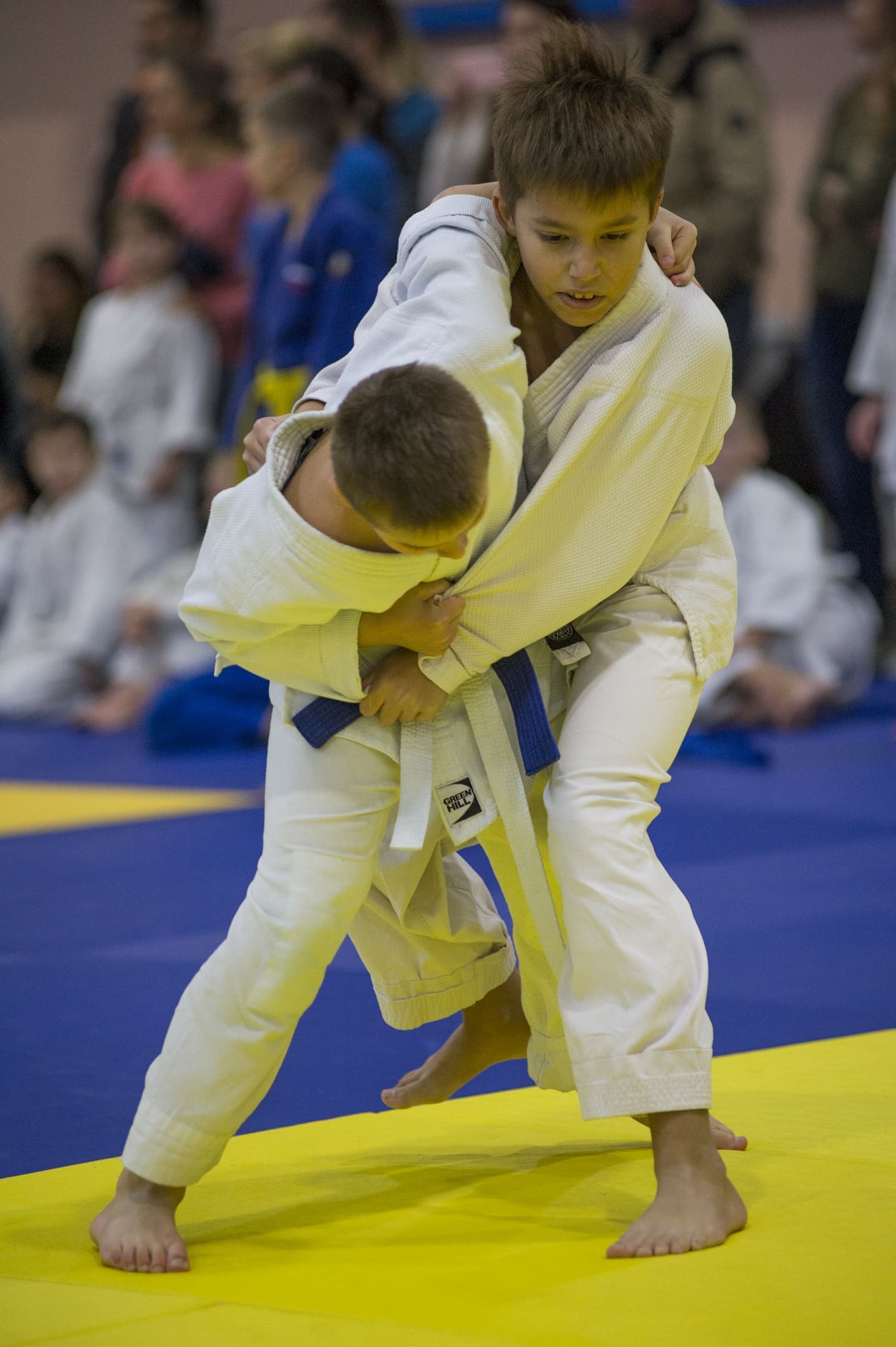 турнир по дзюдо